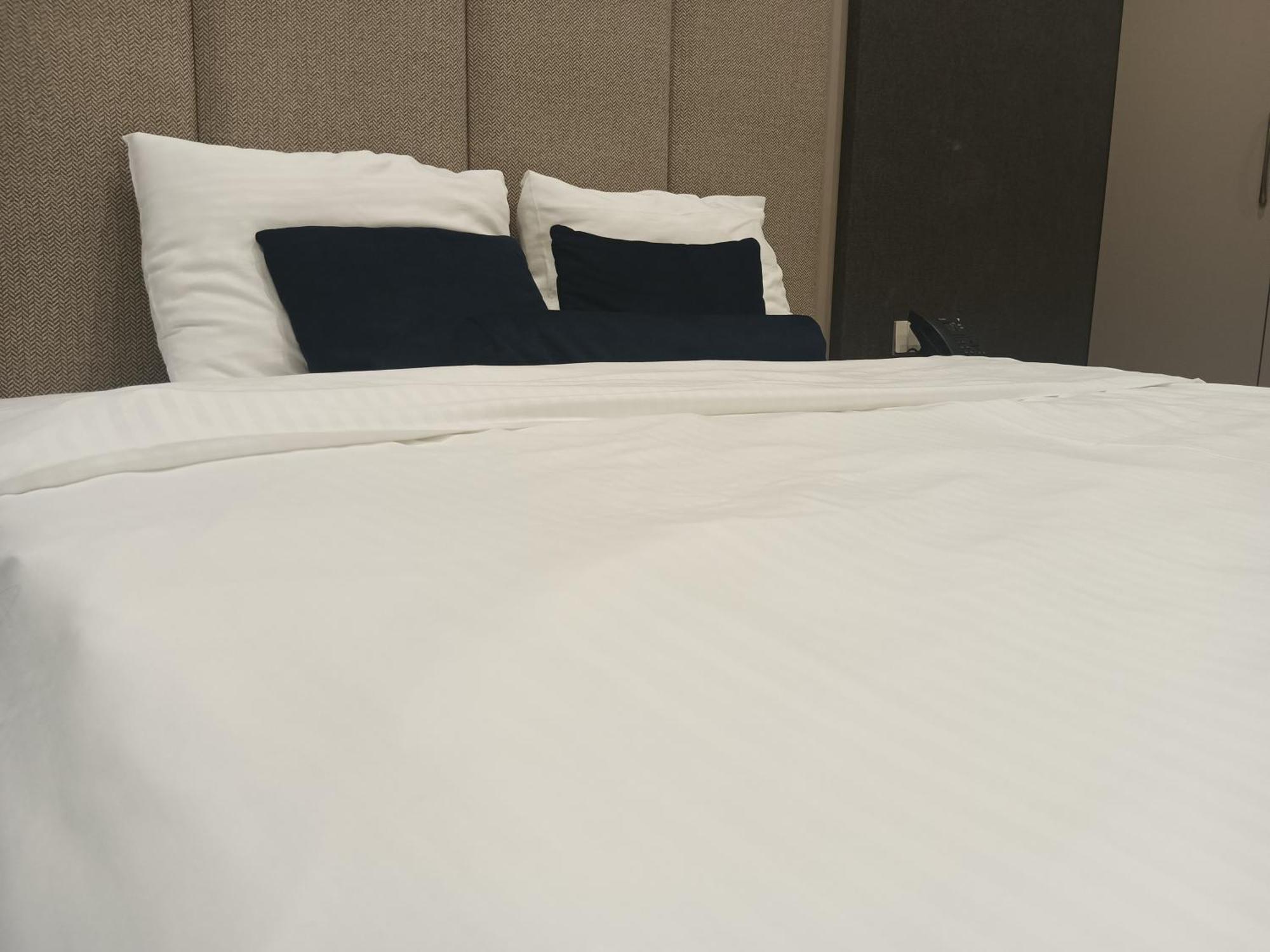 Darin Plaza Hotel Эрбиль Экстерьер фото